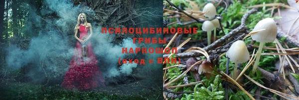амф Абдулино
