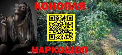сатива Чапаевск