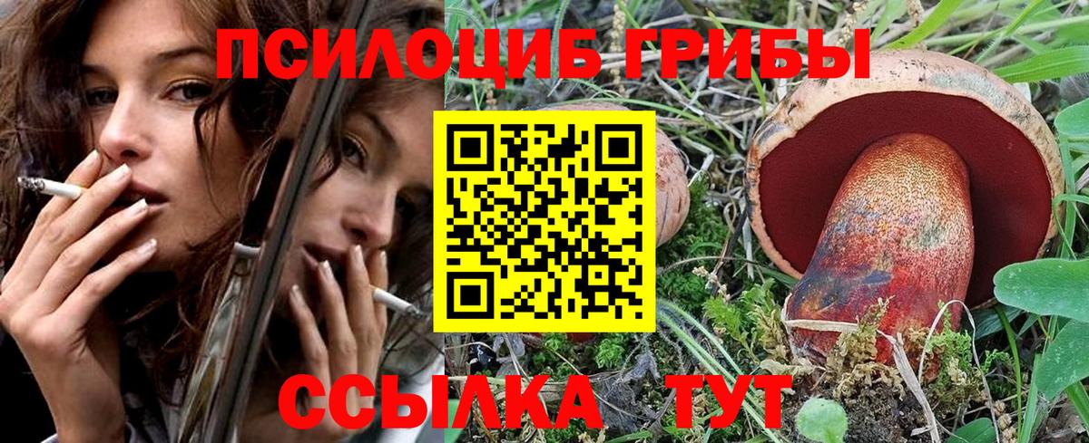 Киржач  Галлюциногенные грибы мицелий  Вход с VPN 